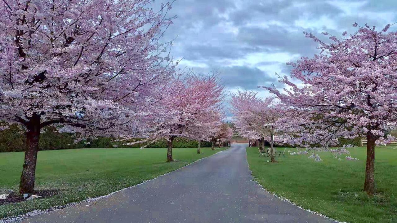 Cedar Manor Bed&Breakfast Pitt Meadows Bagian luar foto