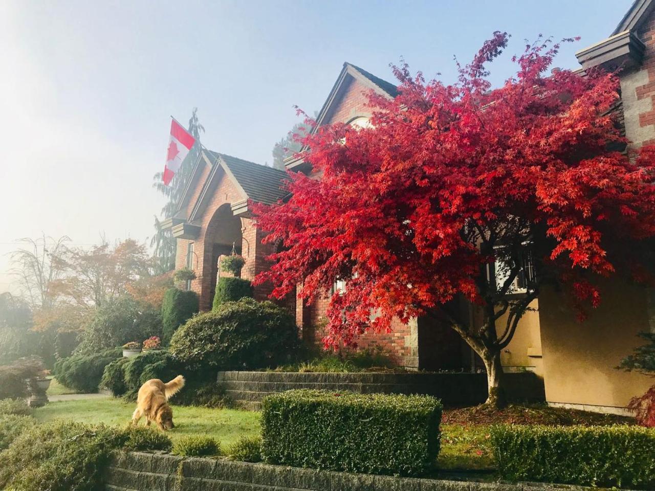 Cedar Manor Bed&Breakfast Pitt Meadows Bagian luar foto