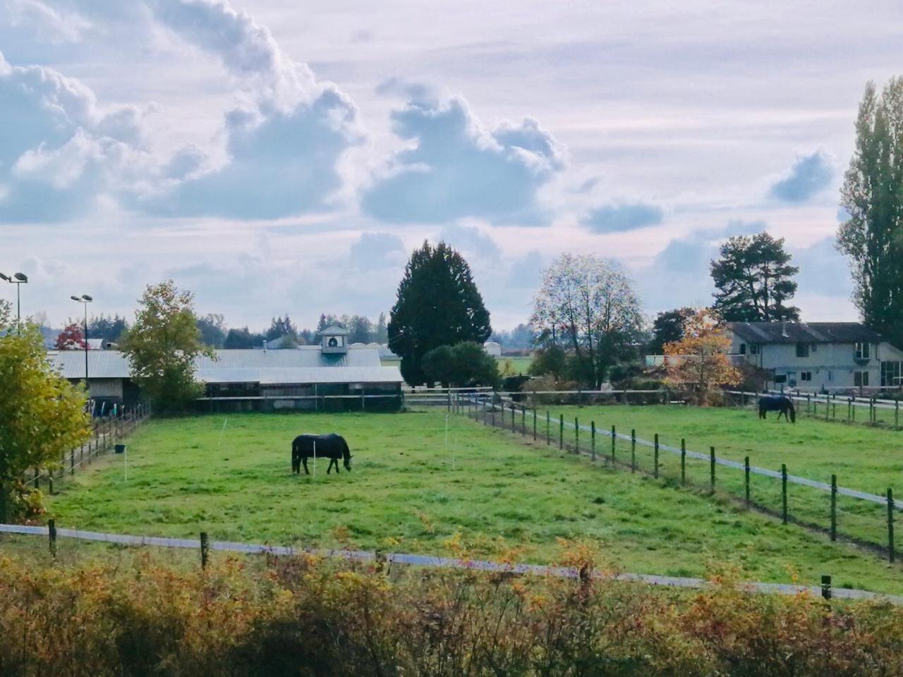 Cedar Manor Bed&Breakfast Pitt Meadows Bagian luar foto